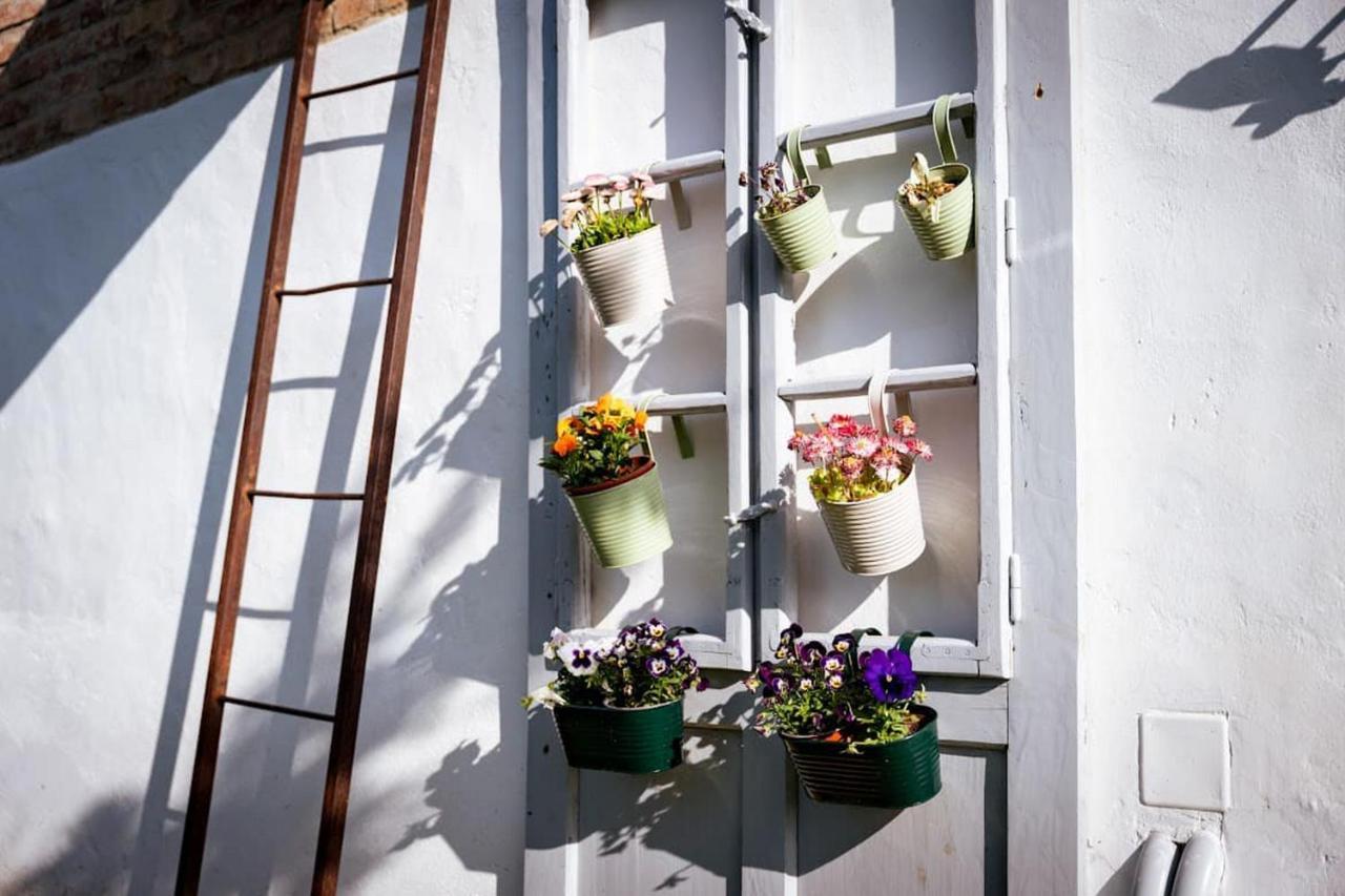 Rozmaring Vendeghaz Hotell Zengővárkony Exteriör bild